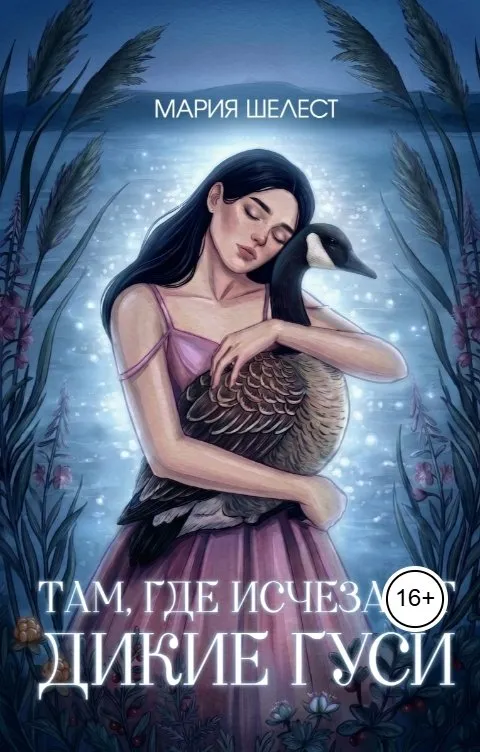 Там, где исчезают дикие гуси