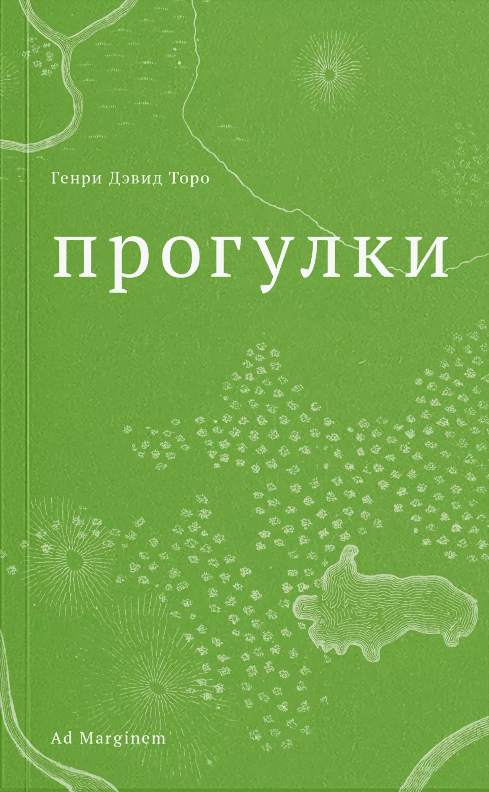 Прогулки